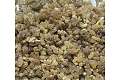 Ethiopian Frankincense Resin – Boswellia papyrifera thumbnail 1